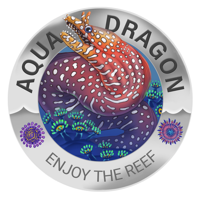 Aqua Dragon