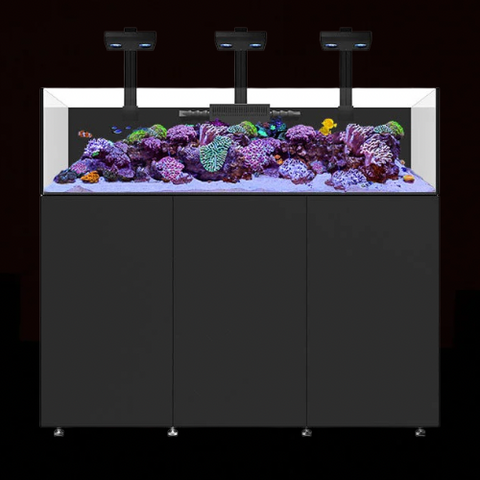 Waterbox Aquariums