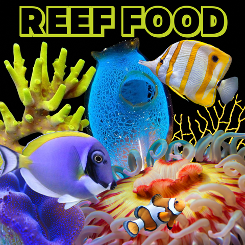 Reef Food & Co