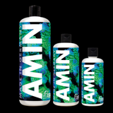 Fauna Marin Amin