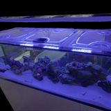 Red Sea Peninsula G3 Aquarium Screen Top Lid