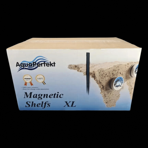 Magnetic-Shelf