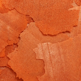 Ocean Nutrition Formula One Flakes