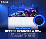 Red Sea REEFER Peninsula G3+