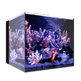 WATERBOX AQUARIUMS AIO