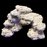 The Polyp Pros Reef Scape #9