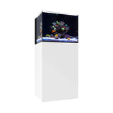 WATERBOX AQUARIUMS AIO