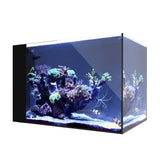 WATERBOX AQUARIUMS AIO