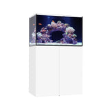 WATERBOX AQUARIUMS MARINE X