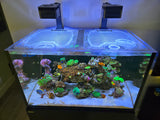 Red Sea Reefer G3 Aquarium Screen Top Lid