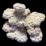 The Polyp Pros Reef Scape #11