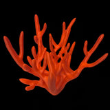 Tobi‘s Seahorse Holder