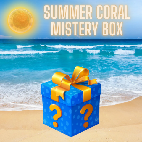 Summer Coral Mystery Box