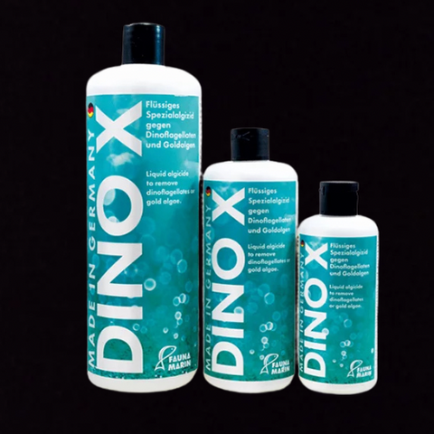 Fauna Marin Dino X