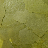 Ocean Nutrition Formula Two Flakes