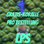 Gratis-Koralle LPS