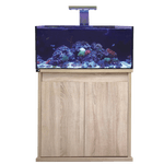 D-D Reef-Pro 900 Aquariumsystem