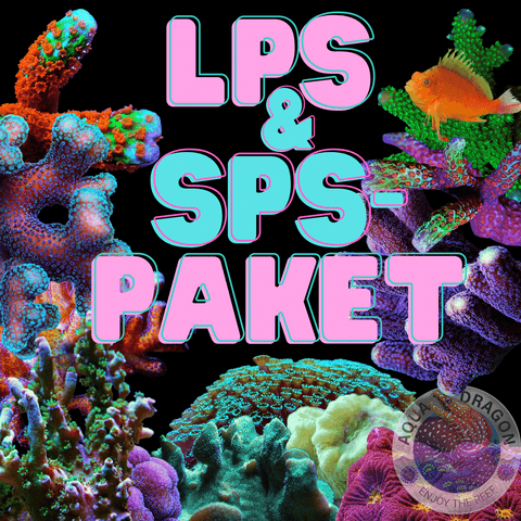 LPS- & SPS-PAKET