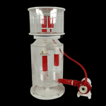 Royal Exclusiv Bubble King® DeLuxe 250 intern + RDX DC 24V