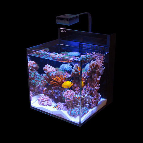 Red Sea MAX NANO Peninsula & Cube All-in-one Plug & Play Riffbecken