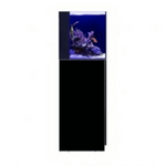 Red Sea Desktop Aquarium