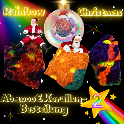 Rainbow 🌈 Christmas 🎄 2