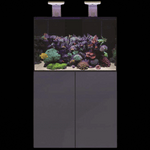 D-D Aqua-Pro Reef