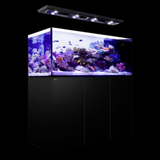 Red Sea REEFER™ Peninsula G2+ Systeme