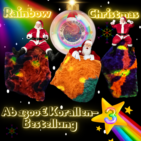 Rainbow 🌈 Christmas 🎄 3