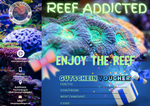 Reef Addicted-Geschenkgutschein