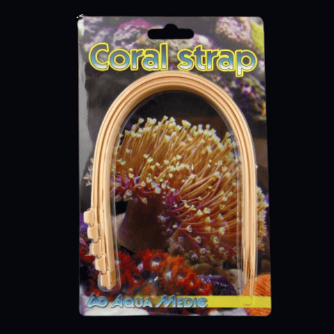 Coral Strap